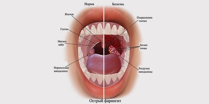 как красить глаза с нарощенными ресницами фото пошагово
