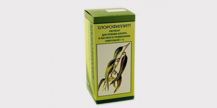 Раствором Хлорофиллипта от катарального стоматита