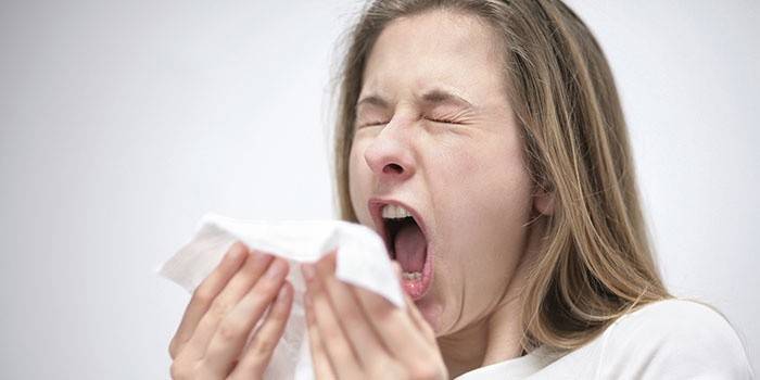 Чихание - признак респираторной аллергии