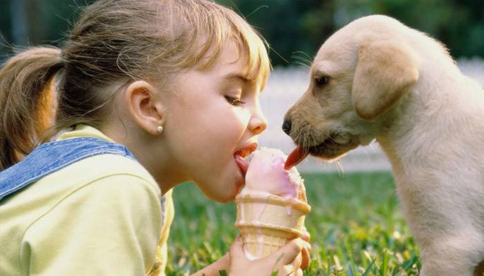 Девочка и щенок кушают мороженое