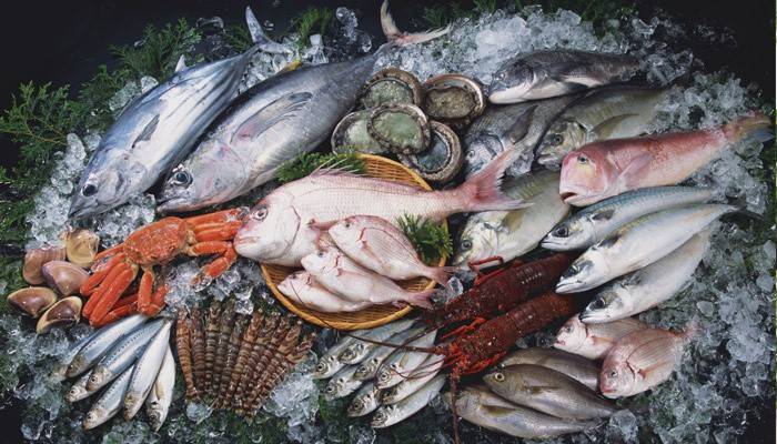 Рыба и продукты моря