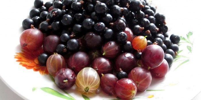 Компот с крыжовником и черной смородиной