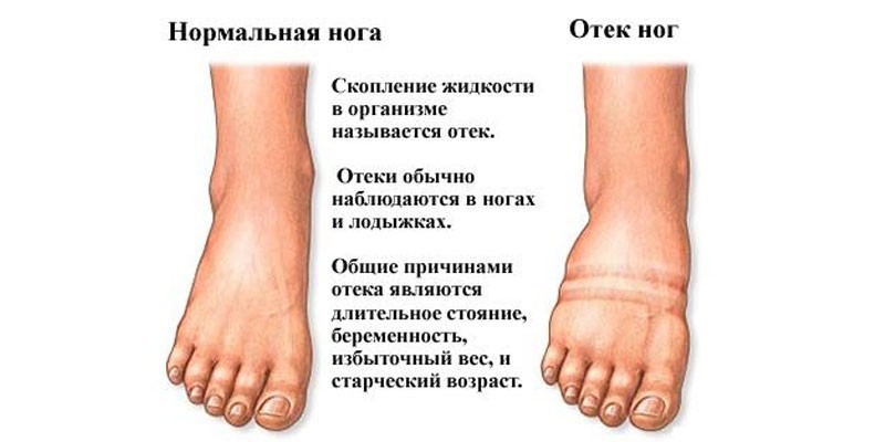 bf43c57ebc52ed60813be6754b942742.jpg