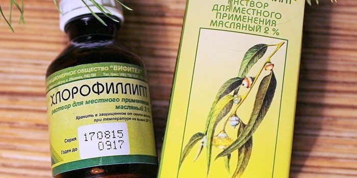 хлорофиллипт капли в нос инструкция Ингаляции с хлорофиллиптом в небулайзере: руководство. Детям и.