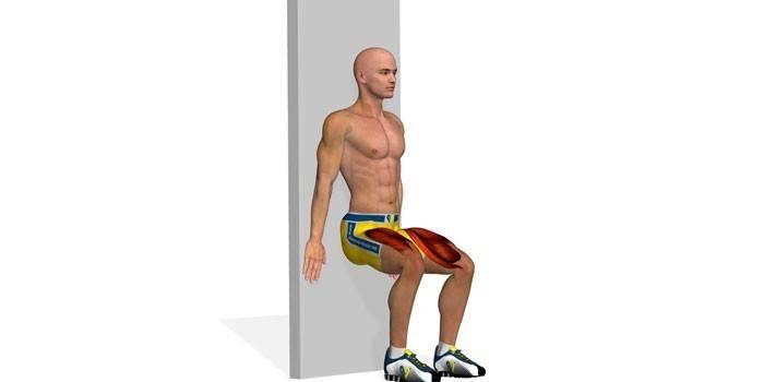 Какие мышцы работают при выполнении упражнения Стульчик
