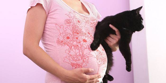 Беременная девушка с кошкой