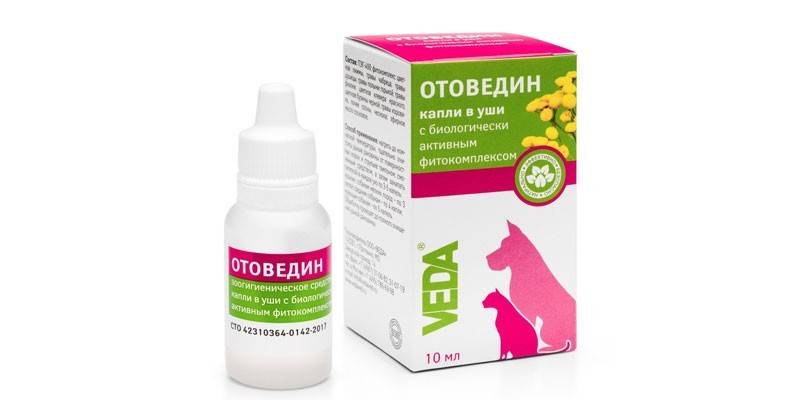 Отоведин