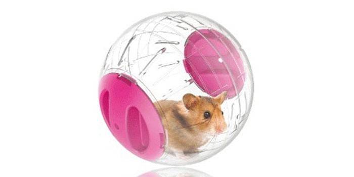 Прогулочный шар Ferplast Baloon