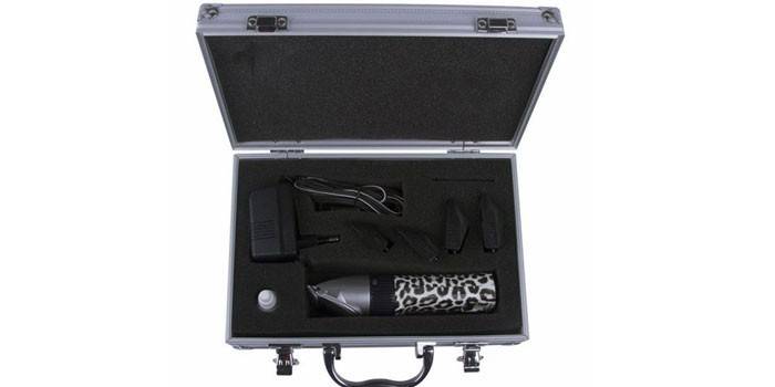 Monella DMR 617