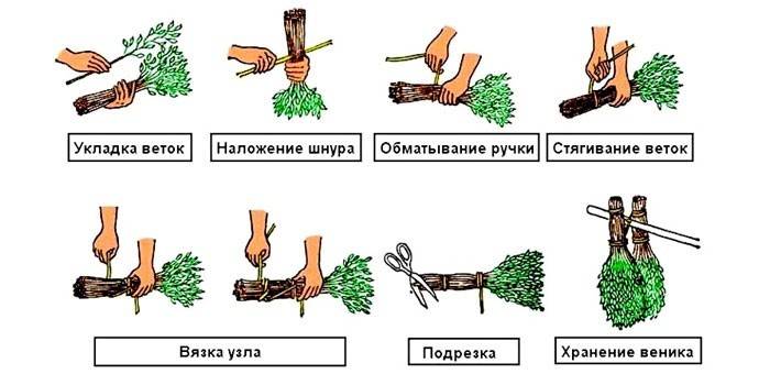 Заготовка веников для бани