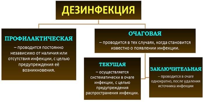 Порядок проведения профилактической, очаговой, текущей и заключительной