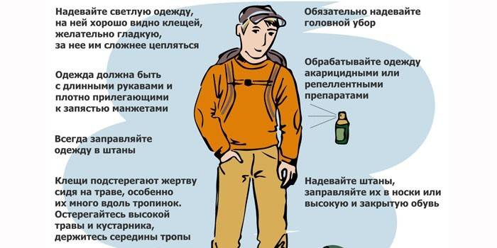Правила защиты от укусов клещей
