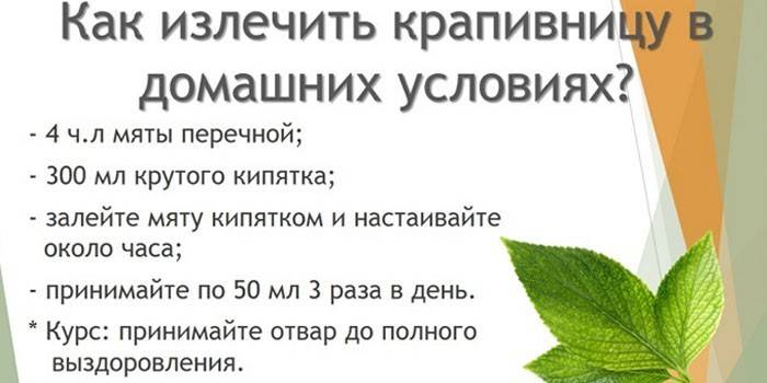 Рецепт мятного отвара