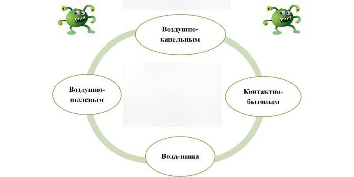 Основные пути передачи заболеваний
