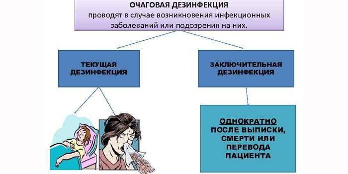Очаговое обеззараживание