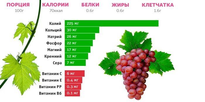 Состав красного винограда
