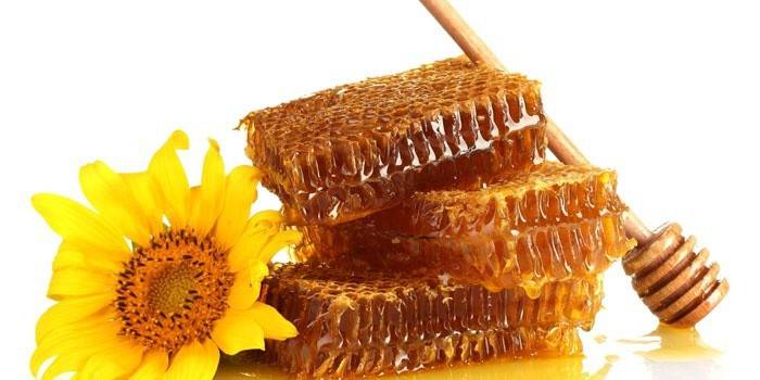 Цветок и медовые соты
