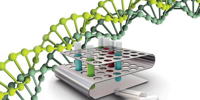 Структура ДНК и пробирки