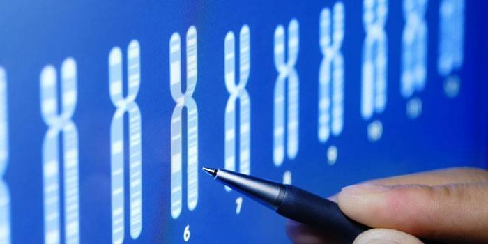 ДНК-диагностика адреногенитального синдрома 
