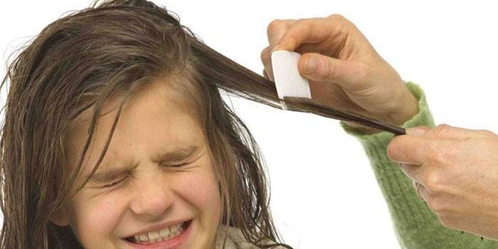 Девочке расчесывают волосы