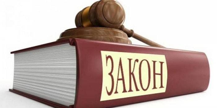 Книга и судейский молоток