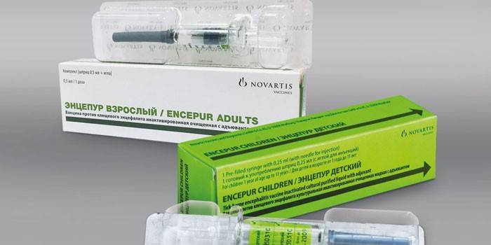 Вакцина Энцепур для взрослых и детей в упаковках