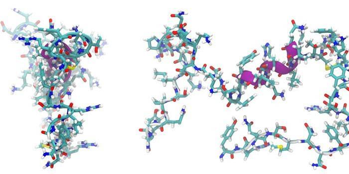 Строение молекулы пептидов