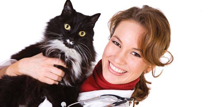 Ветеринар держит на руках кошку
