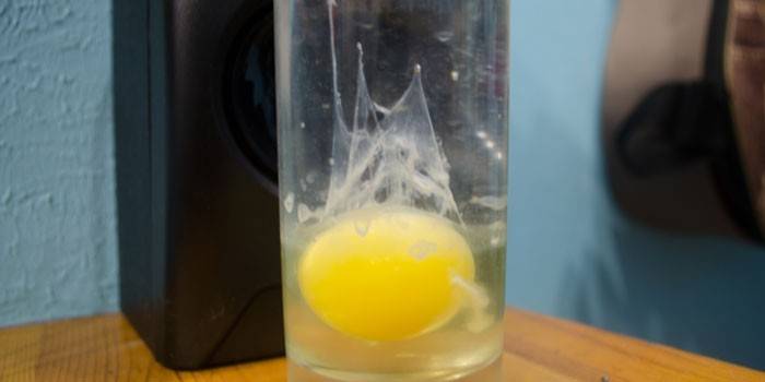 Яйцо в стакане с водой