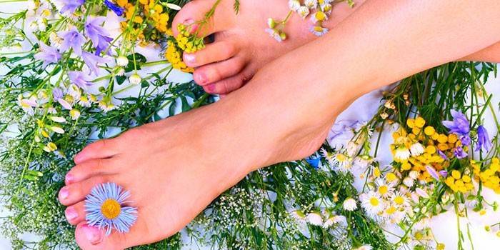 Женские ноги и цветы
