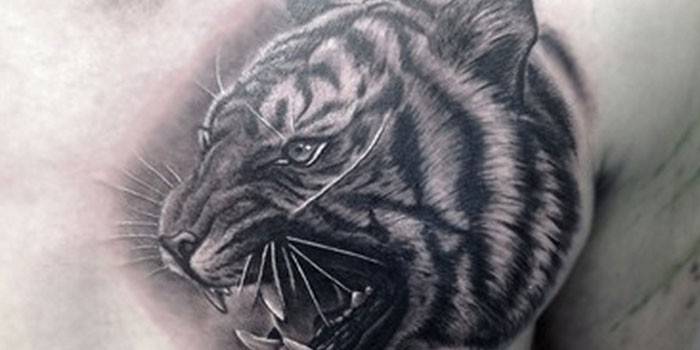 Татуировка голова тигра