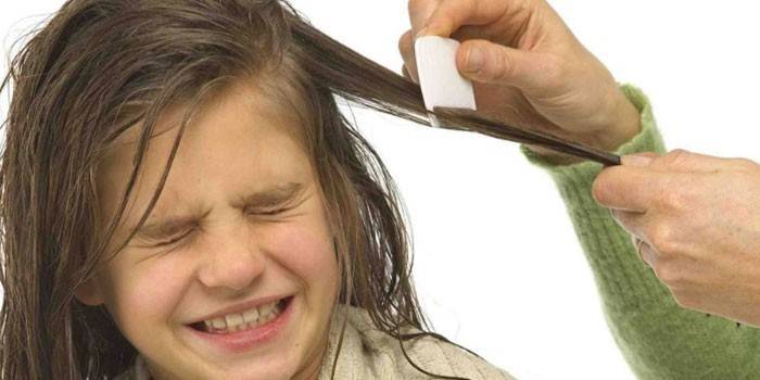 Девочке расчесывают волосы частым гребешком