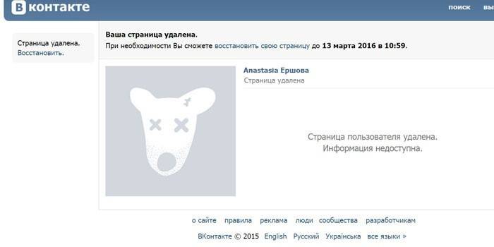 Окно приложения Вконтакте