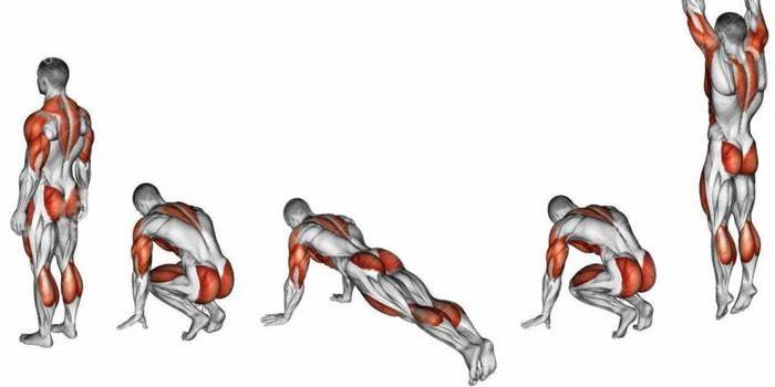 Техника выполнения упражнения берпи и какие мышцы задействованы 