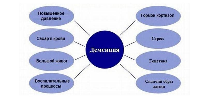 Факторы риска развития деменции