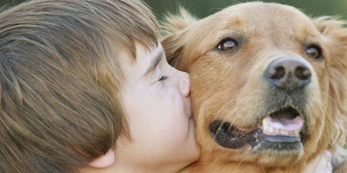 Мальчик целует собаку