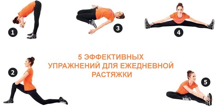 Упражнения на растяжку
