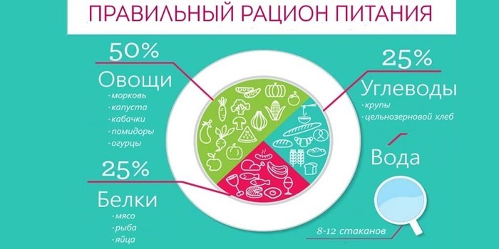 Правильный рацион питания