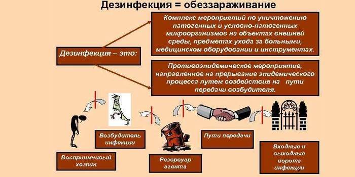 Определение Дезинфекции