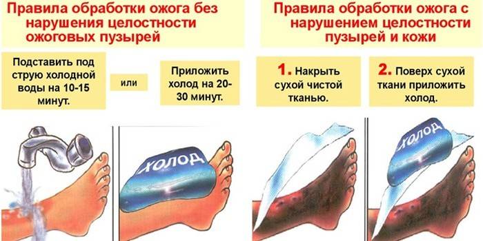 Правила первичной обработки