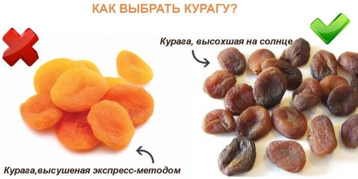 Как выбрать сушенный абрикос