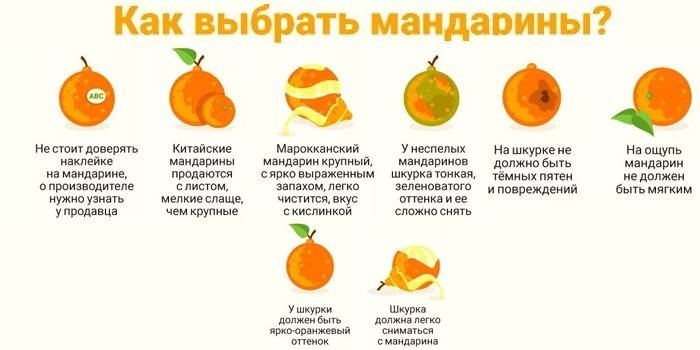 Как выбрать плоды