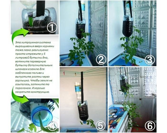 Перевернутый ящик для выращивания помидоров