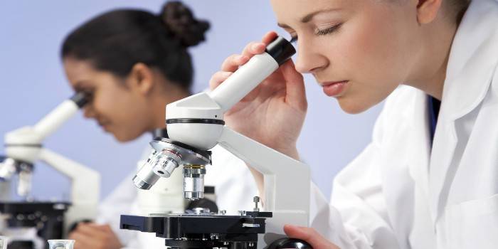 Девушки проводят исследования за микроскопами