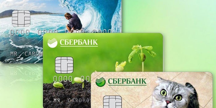 Карта Виза Сбербанка - как заказать и активировать, преимущества и особенности, виды и стоимость Карта Виза Сбербанка - как заказать и активировать, преимущества и особенности, виды и стоимость