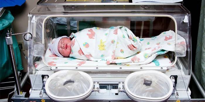 Новорожденный в инкубаторе