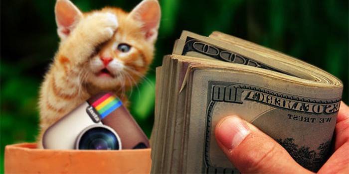 Котенок, значок Инстаграм и деньги в руке
