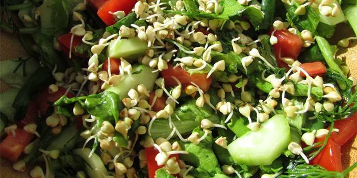Салат с пророщенными зернами зеленой гречки
