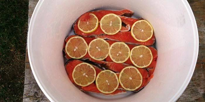 Красная рыба под маринадом с лимоном