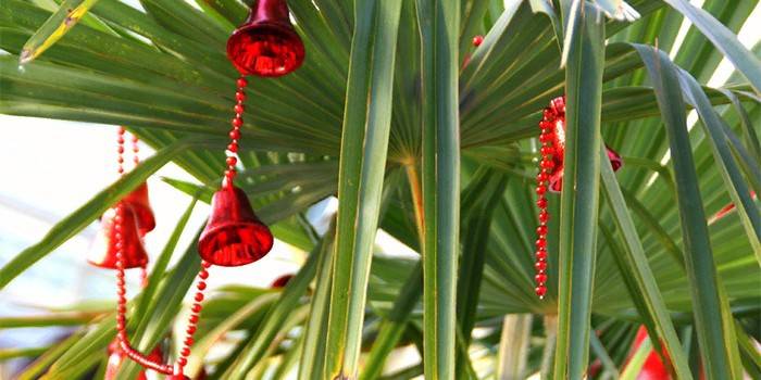 Елочные украшения на ветках пальмы